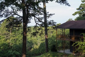 Property grounds - Great Views. Newly Renovated. Wood, Rustic, Charm (Eureka Springs)