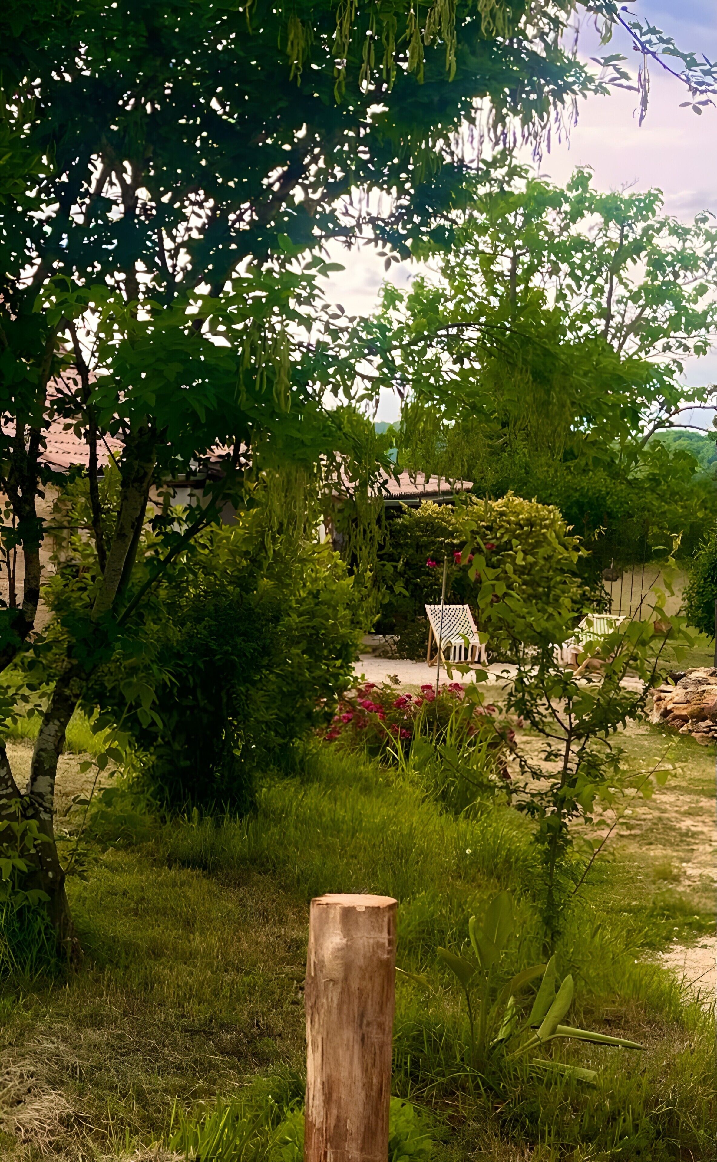 Áreas de la propiedad