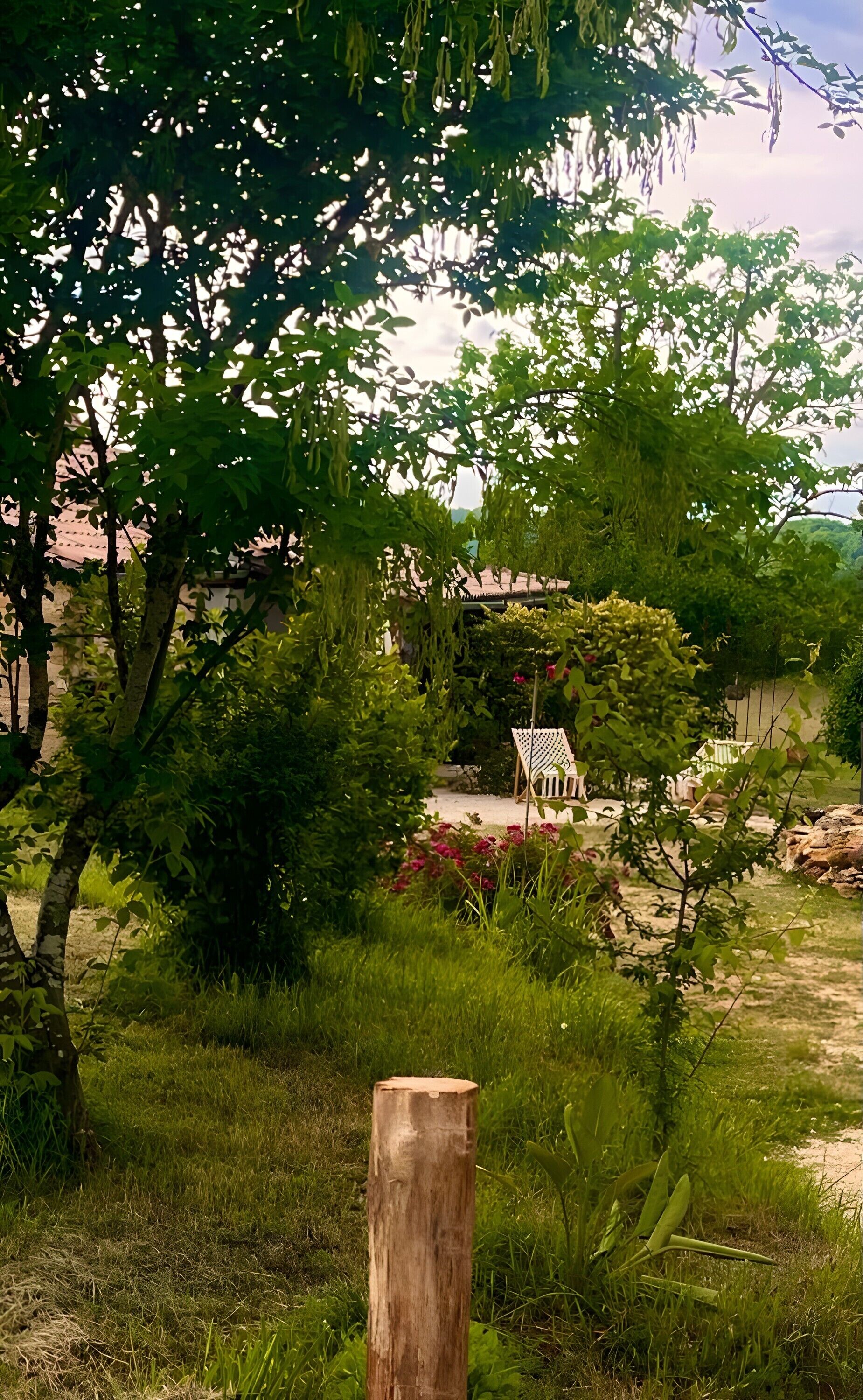 Parco della struttura