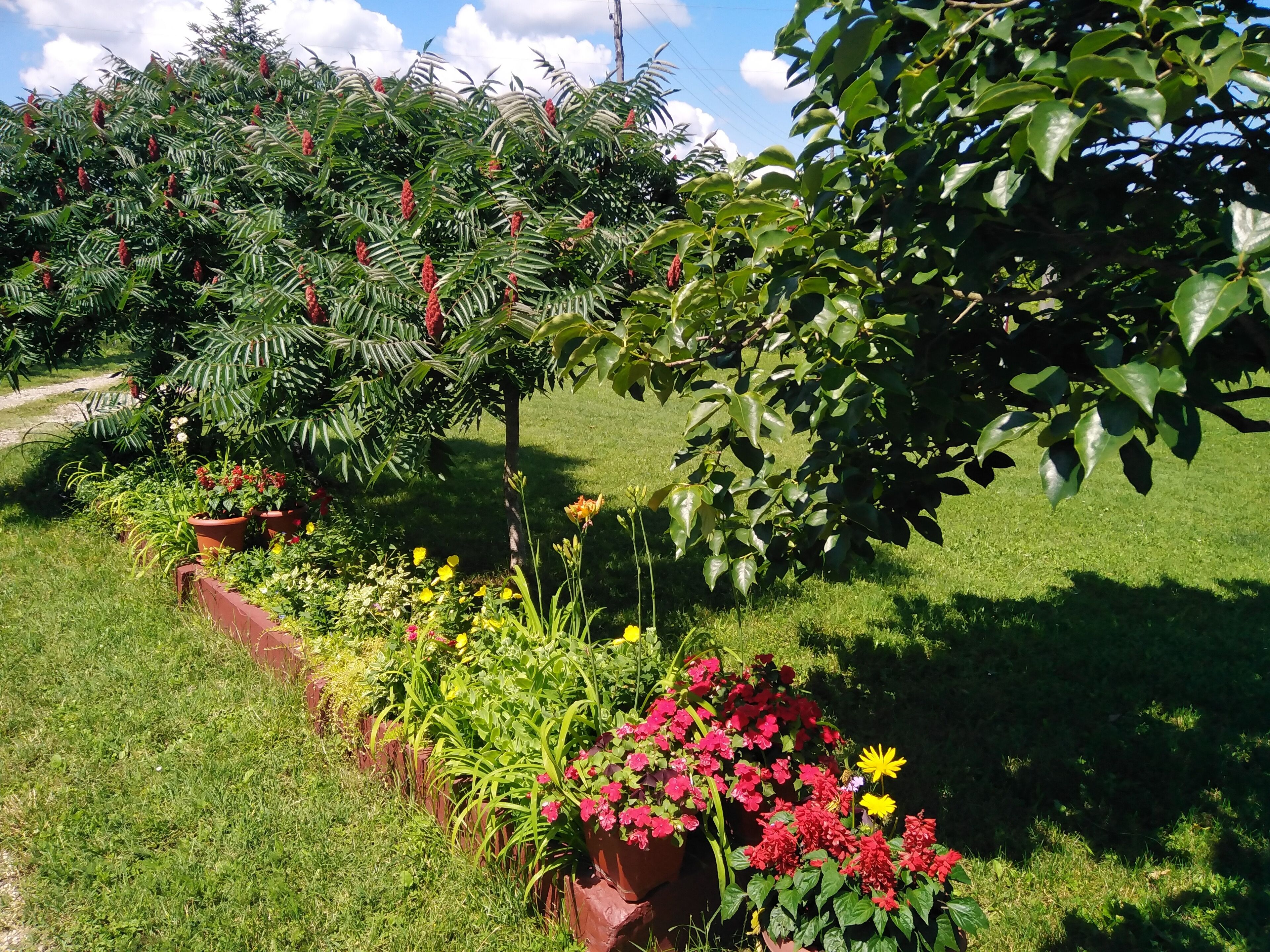 Overnatningsstedets område