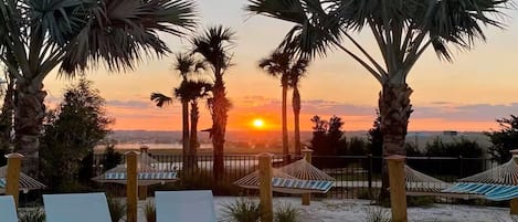 A sunset view with palm trees, lounge chairs, and hammocks.