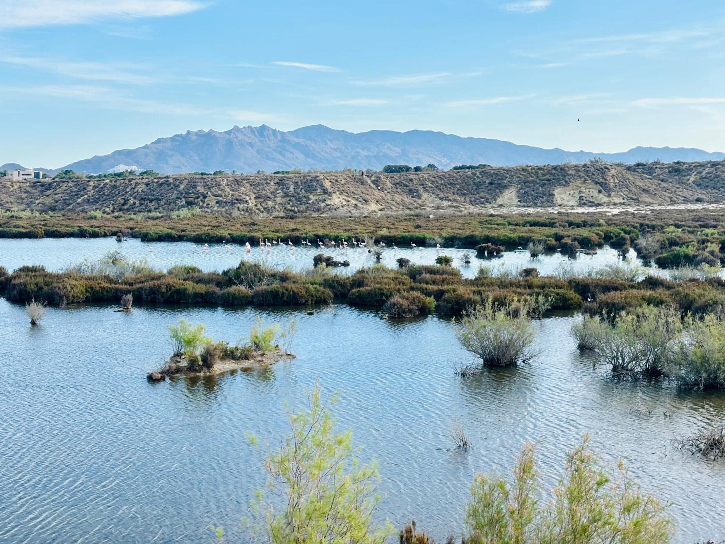 Un paysage naturel comprenant une étendue d’eau, de la végétation et des montagnes à l’horizon.