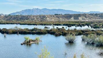 Un paysage naturel comprenant une étendue d’eau, de la végétation et des montagnes à l’horizon.
