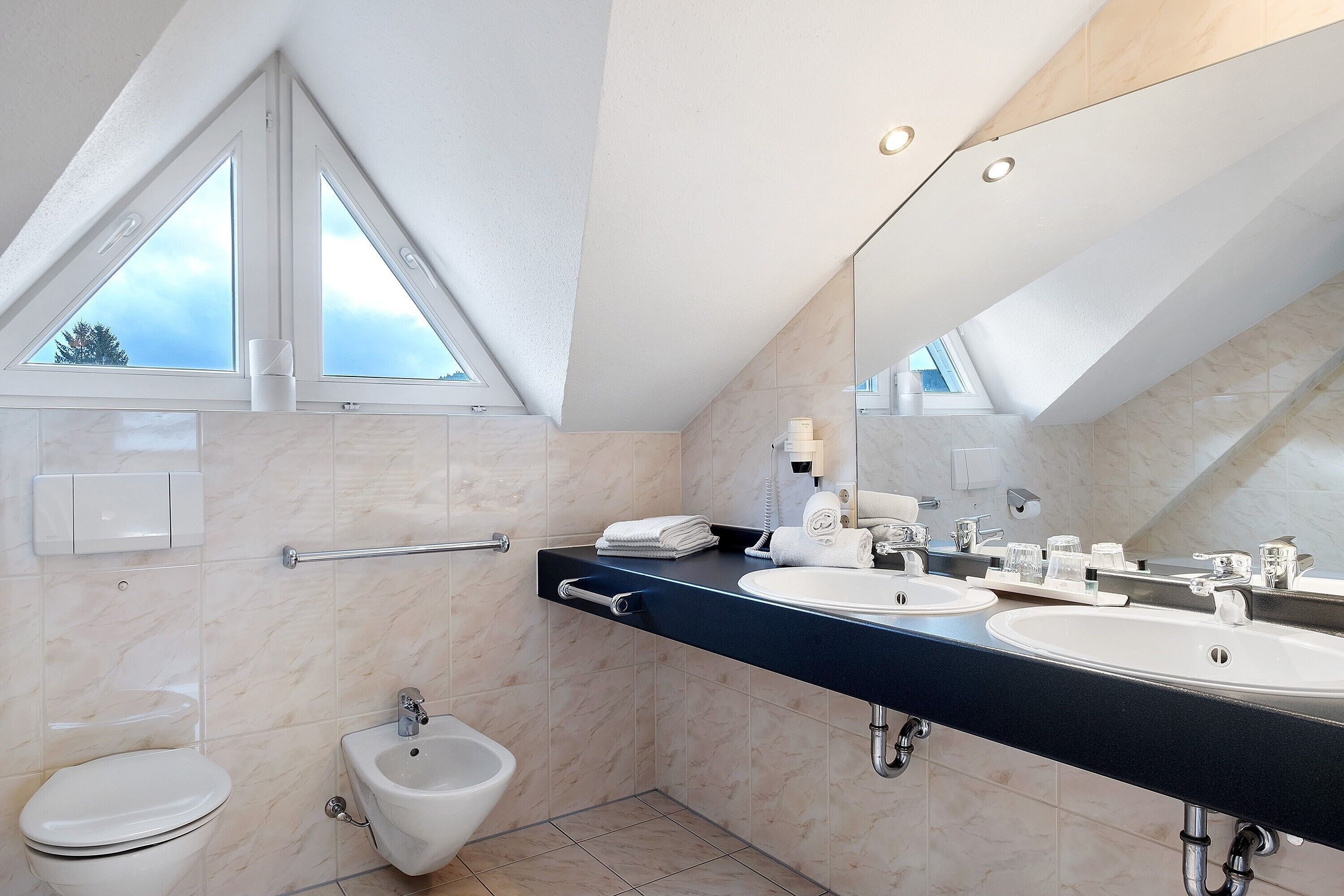 Dusche, Haartrockner, Handtücher
