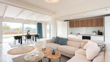 TV connectée, cheminée