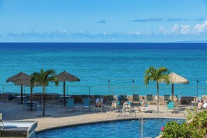 Property grounds - Oceanfront studio w/ lanai and beach access in Kahana (Lahaina)