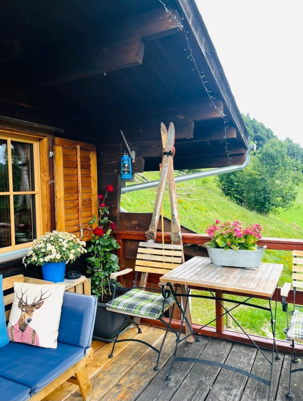 Bild für Gastgeberprofil