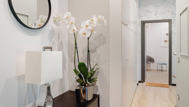 Un couloir avec un paillasson, une orchidée en pot, un miroir et une lampe moderne.