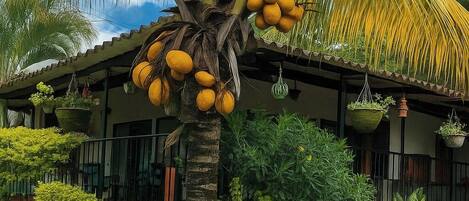 Façade de lâhĂ©bergement