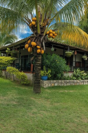 Front of property - CABAÑA VILLA PAOLA (Rivera)