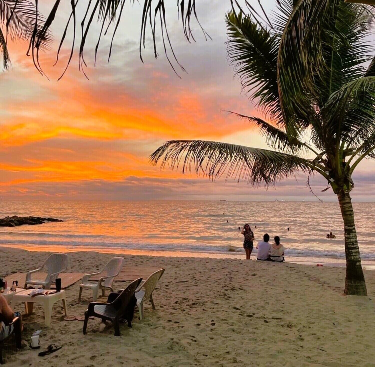 Una playa con palmeras, sillas y gente.