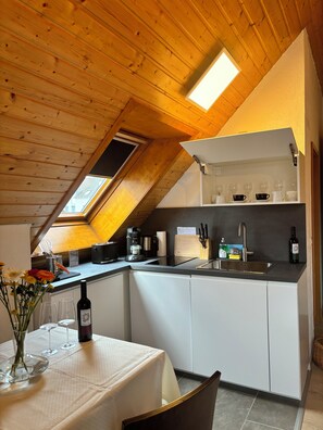 Private kitchen - Fabulous studio apartment, Walk to Lakes, Transit & Authentic German Restaurant (Böblingen)