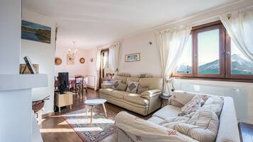 TV, fireplace, video games, DVD player