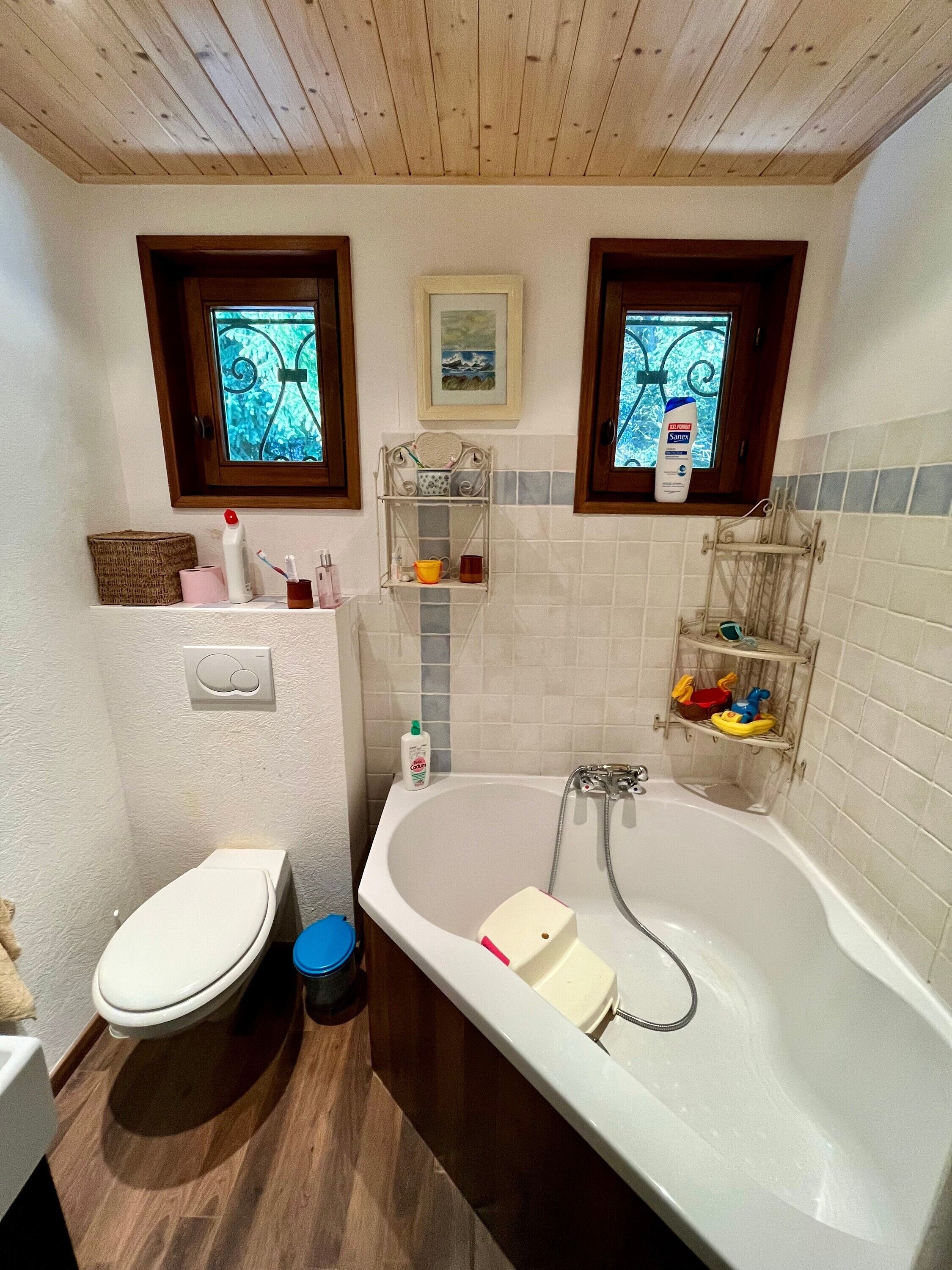 Chuveiro, secador de cabelo, toalhas de banho 