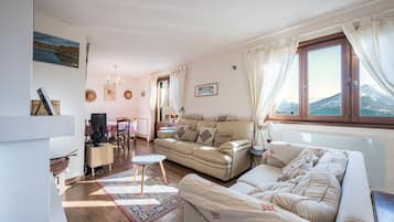 Télévision, cheminée, jeux vidéo, lecteur de DVD