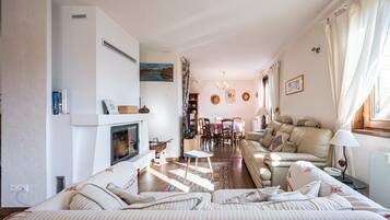 TV, fireplace, video games, DVD player