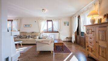 TV, fireplace, video games, DVD player