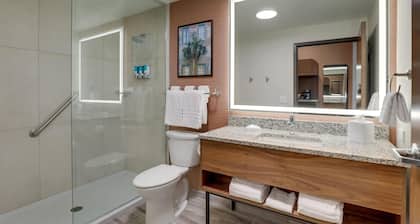 Drury Plaza Hotel Tampa Brandon