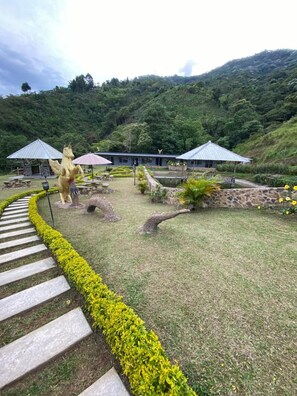 Free daily full breakfast - SKYGREEN ECOHOTEL (Dosquebradas)