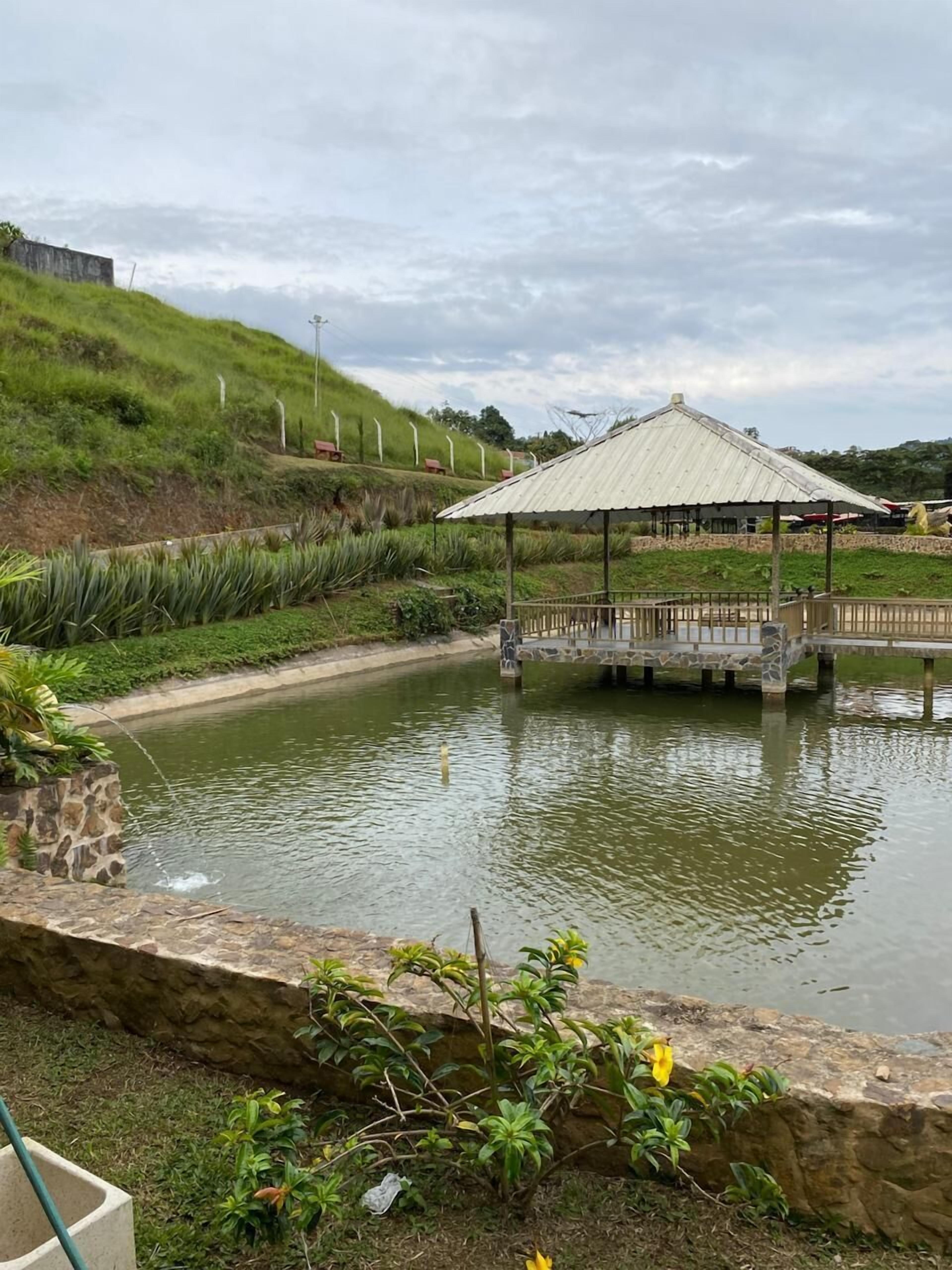 A tranquil pond with a stone bridge and a gazebo.