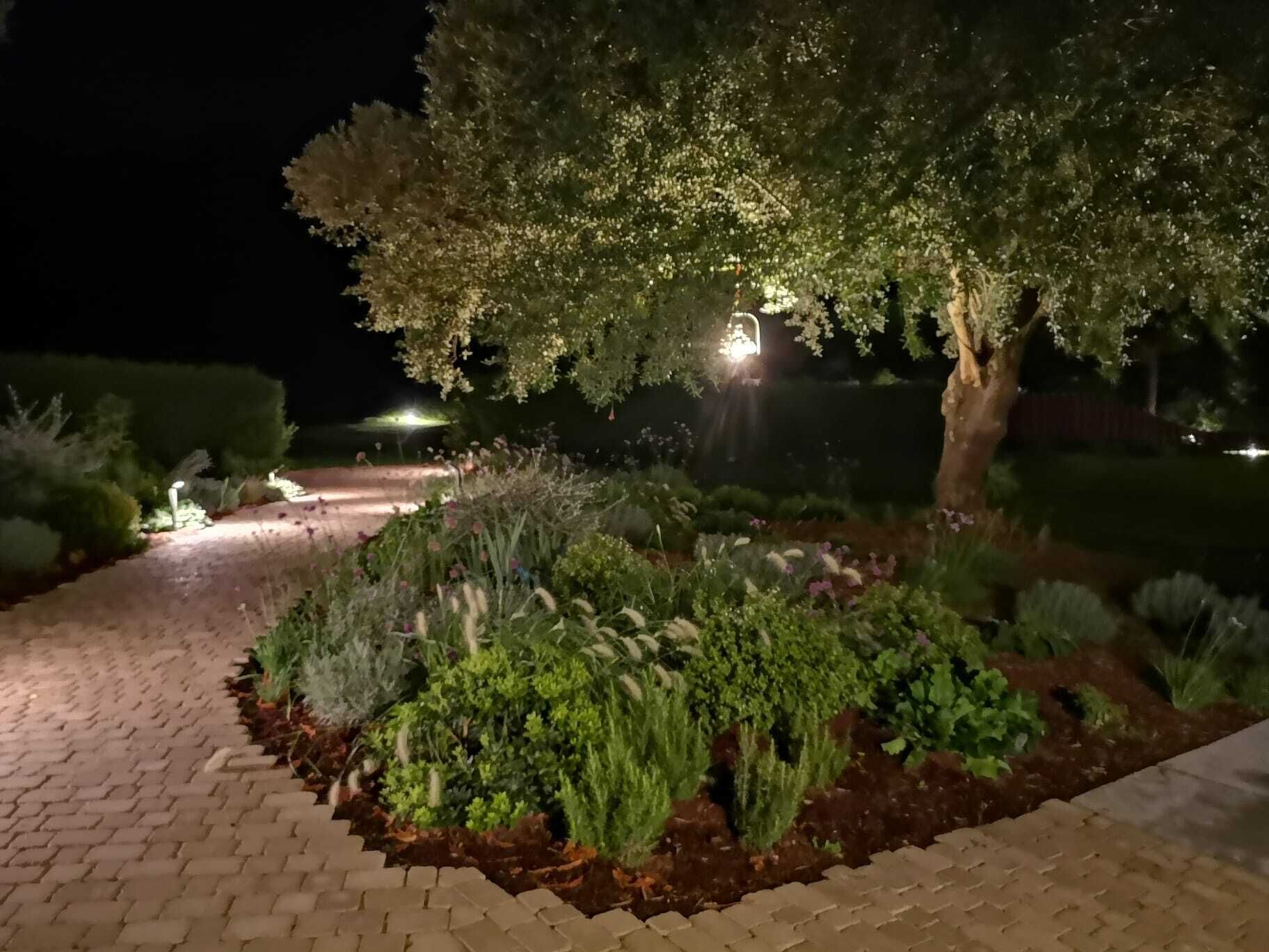 A nighttime garden with a paved walkway, illuminated by garden lights.
