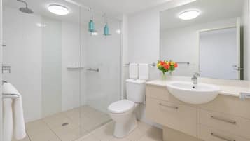 Shower, hair dryer, towels