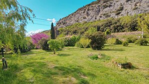 A grassy field with trees and a mountain in the background. - Le Rissas, gite for 4 _ Lacets Ventoux (Beaumont-du-Ventoux)