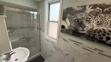 Shower, hair dryer, towels, soap