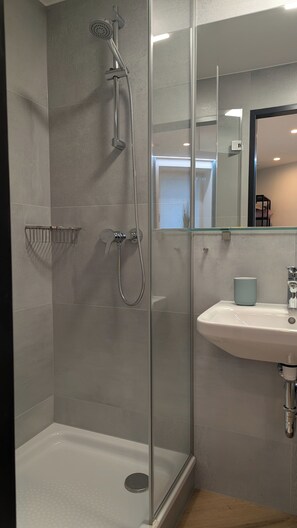 Regadera, secadora de cabello, toallas, jabón 