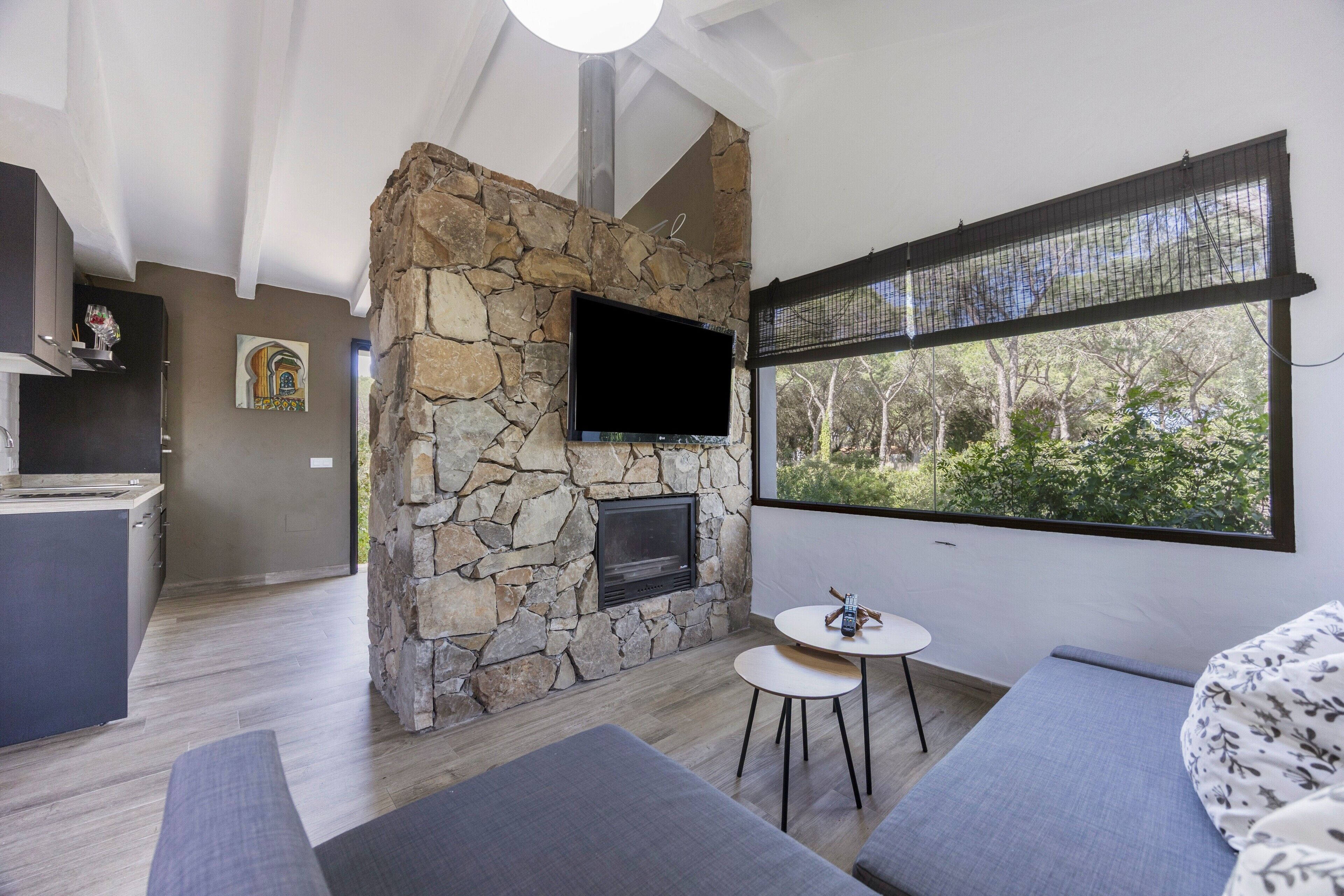 TV, fireplace