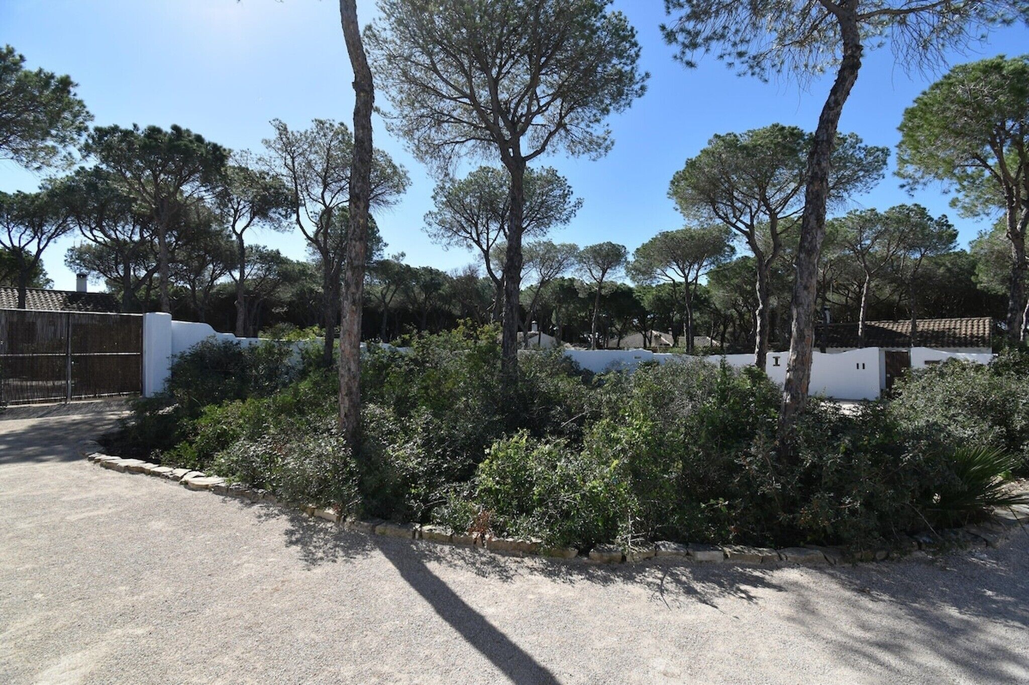 Área da propriedade