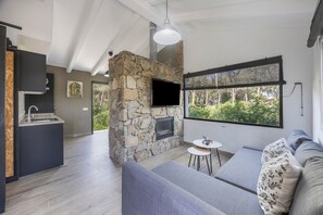 Fernseher, Kamin