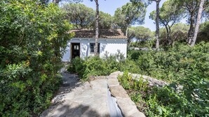 A white building with a tiled roof, surrounded by dense greenery and trees. - Casa Espartosa 1 in Chiclana with Private Pool, Terrace, and Wi-Fi (Chiclana de la Frontera)