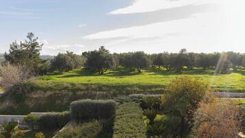 Blick auf die Umgebung