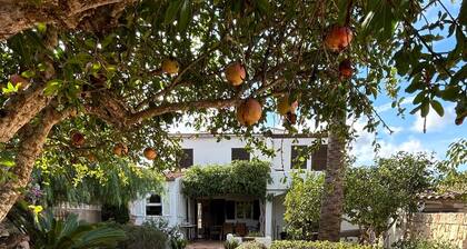 Rural cottage Es Revell 200 meters from the spectacular Cala Sa Nau