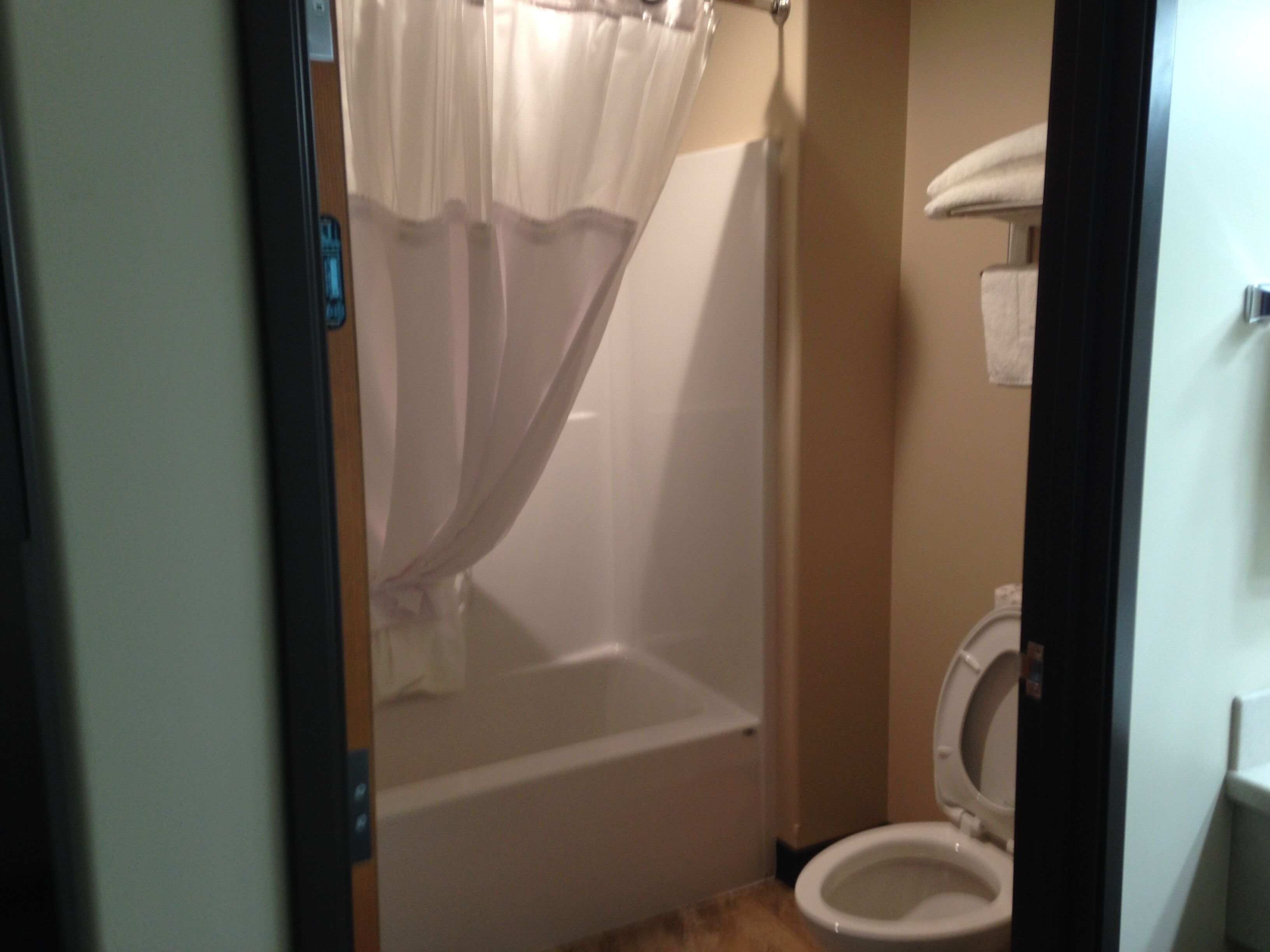 A bathroom with a shower curtain, a bathtub, and a toilet.