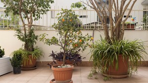 Une terrasse sur le toit, agrémentée de plantes en pot et dotée d’une rambarde.