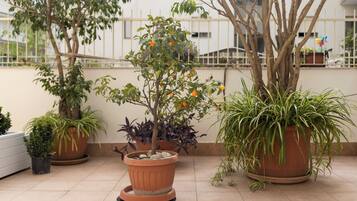 Deluxe Apartment, 2 Bedrooms, Kitchenette, City View | Terrace/patio