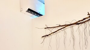 Een slaapkamer met een bed, een nachtkastje en een tak als wanddecoratie.
