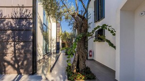 A modern building with a narrow pathway, large windows, and a tree with hanging vines.