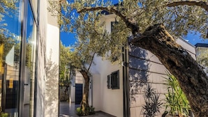 Un edificio moderno con fachada de vidrio, un sendero de piedra y un gran árbol en el centro.