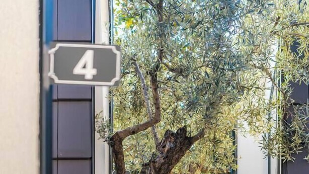 Un edificio moderno con un gran árbol en el centro, un letrero con el número '4' y un camino que lleva a la entrada.