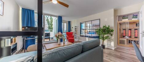 TV connectée, cheminée, livres