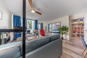 TV connectée, cheminée, livres