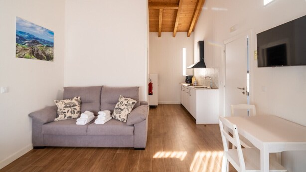 En moderne stue med en grå sofa, et lille bord og et tekøkken med fjernsyn og komfur.