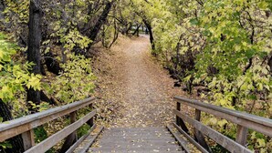 Un sendero de madera que atraviesa un bosque, con un puente de madera al final.