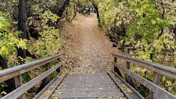 Overnatningsstedets område