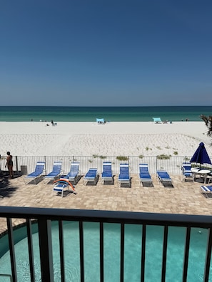 Property grounds - Your Perfect IRB Escape Awaits at The Narrows (Indian Rocks Beach)