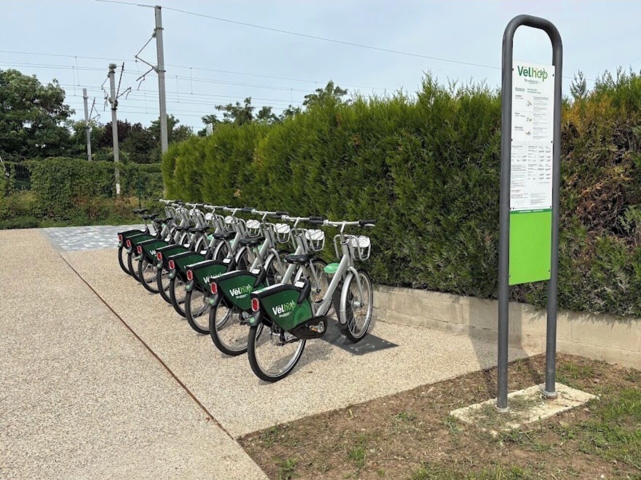 Terrein van de accommodatie