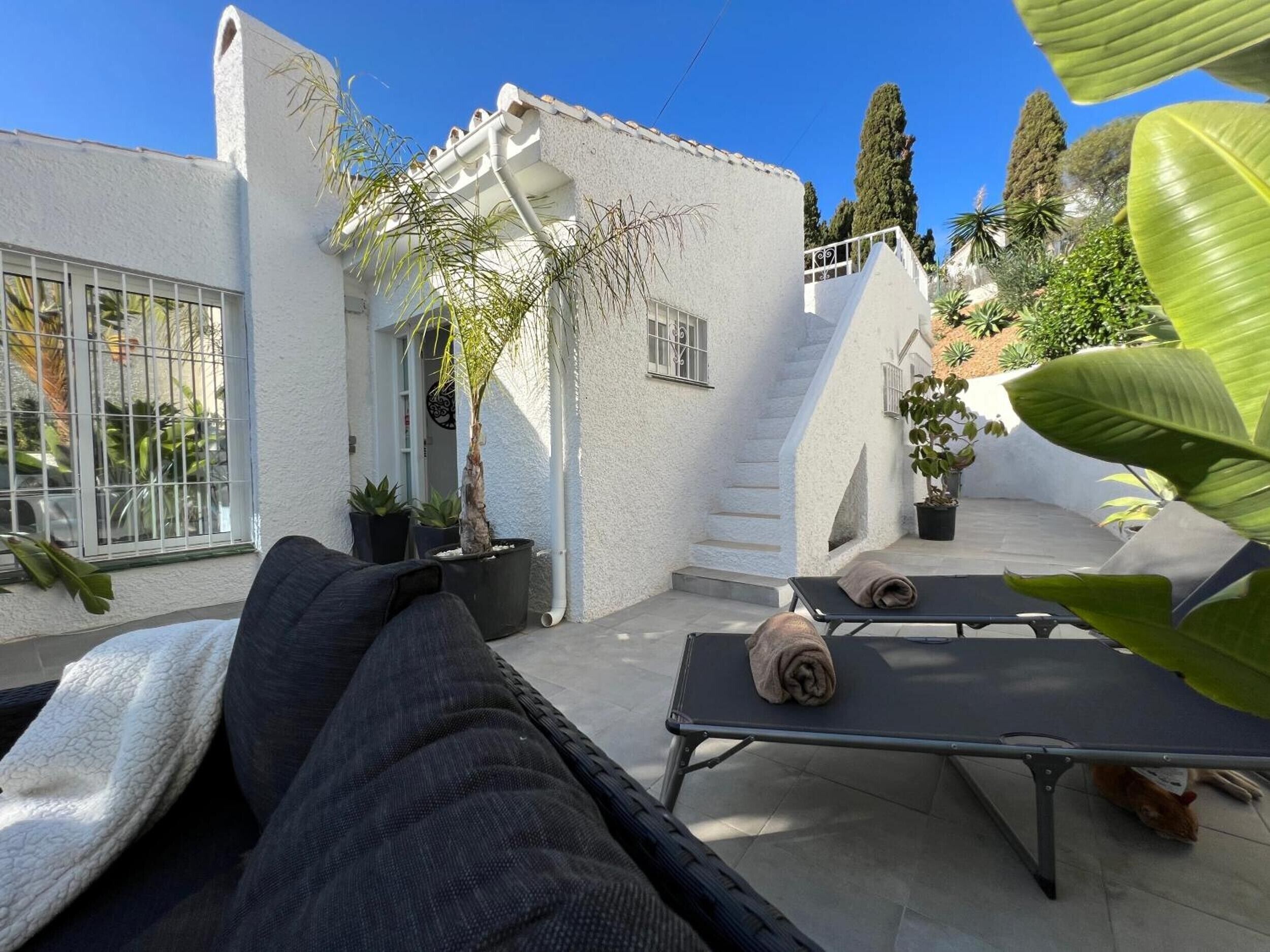 A patio area with a sofa, a sun lounger, and potted plants.